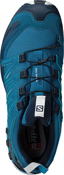 salomon xa pro 3d gtx lyons blue
