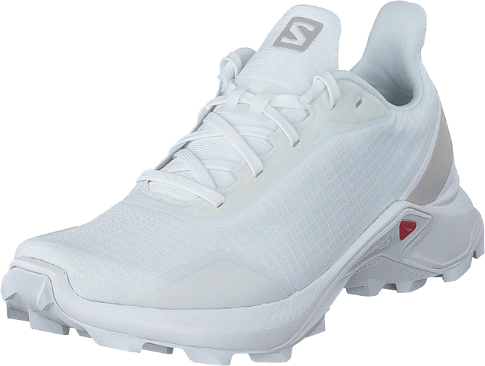 salomon alphacross w