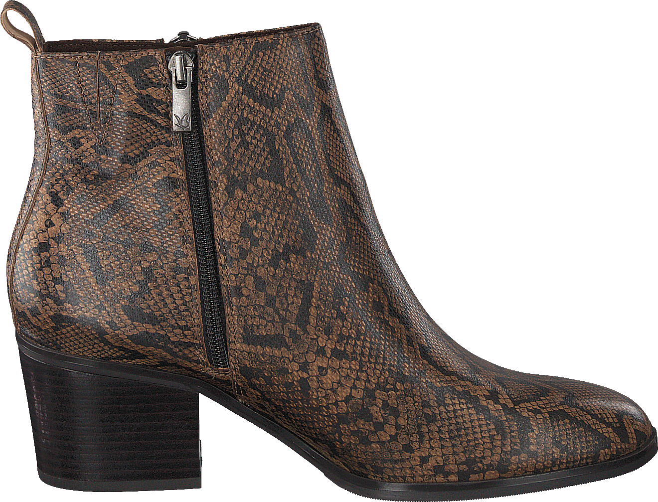 Jeanie Taupe Snake - Bild 2