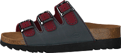 Scholl - Rio Bordeaux/grey