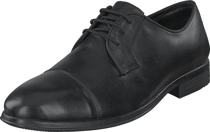 Cavalet - Gilbert Black