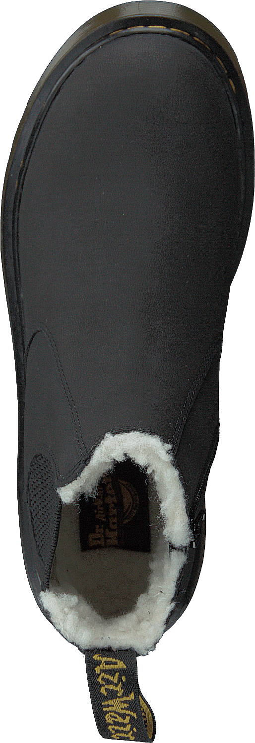 Leonore junior Clearance