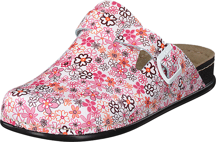 Mohedatoffeln - Aries Multi Flower