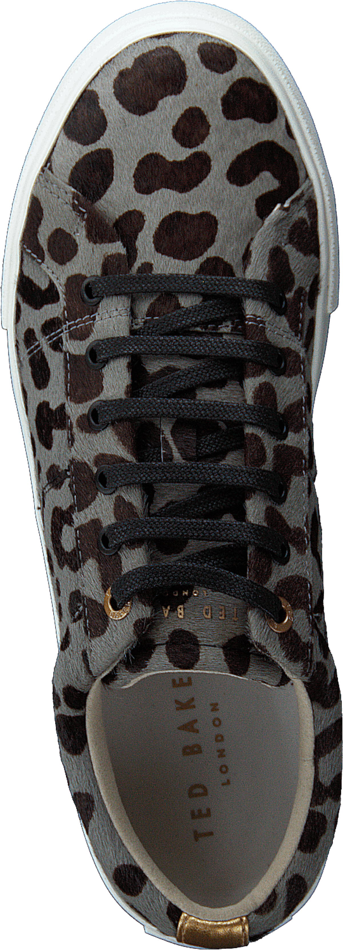 Lephie Leopard