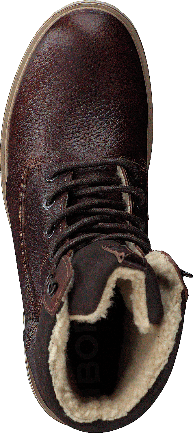 Kenna Hgh Tmb W Brown - Bild 6