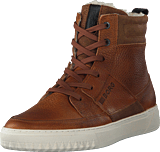 Collin Hgh Tmb M Tan - Bild 9