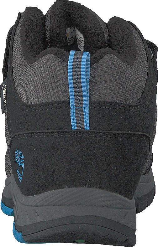 Neptune Park Mid Gtx 2 Strap W Jet Black