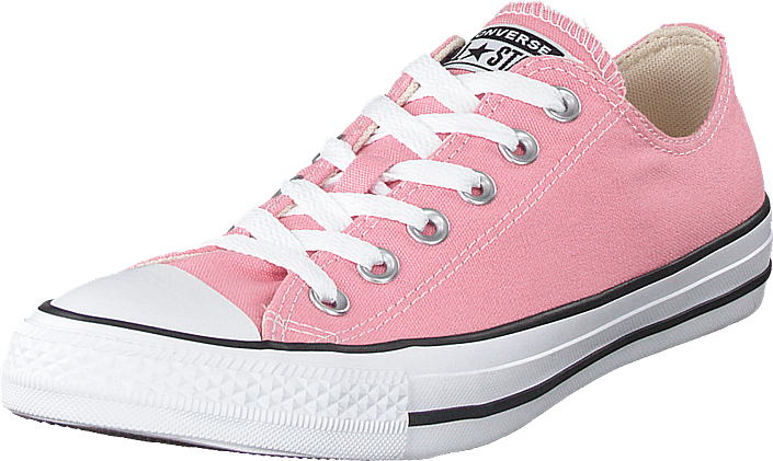 coastal pink converse