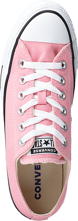 coastal pink converse