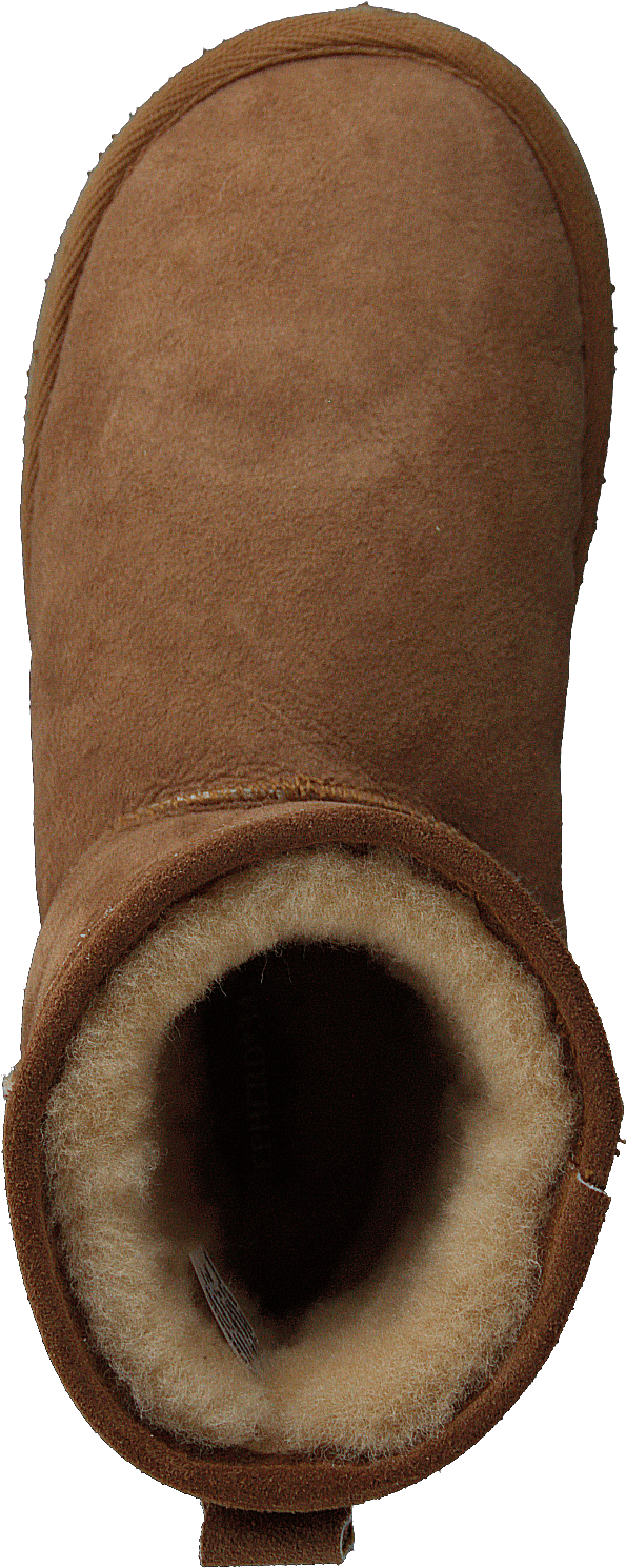 Mora Chestnut - Bild 6