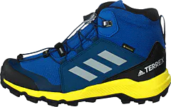 adidas Sport Performance - Terrex Mid Gtx K Blue Beauty/grey One F17/shock