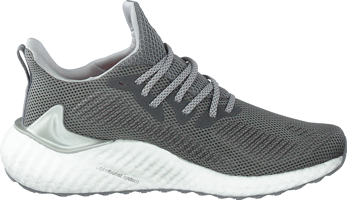 Alphaboost M Grey Three F17/silver Met./gre