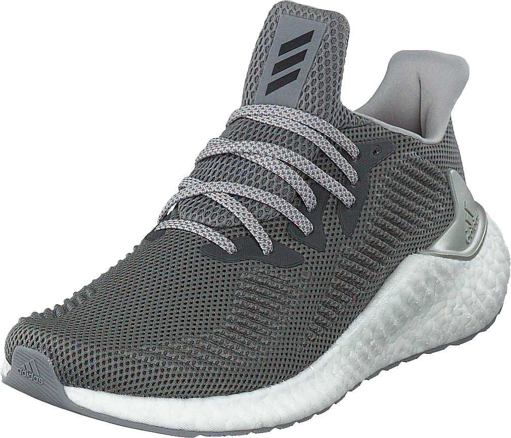 Alphaboost M Grey Three F17/silver Met./gre