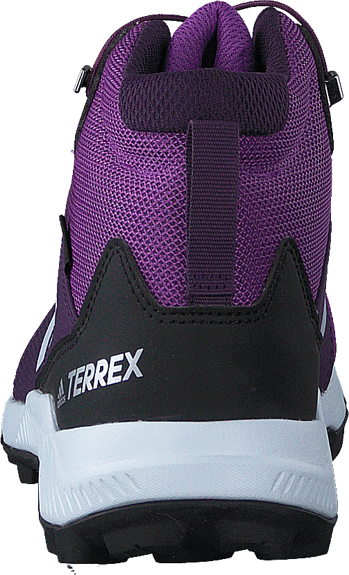 Terrex Mid Gtx K Active Purple/aero Blue S18/tr