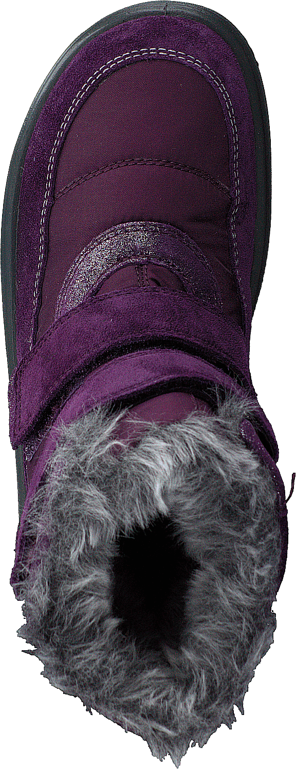 Flavia Lila - Bild 6