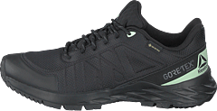 Reebok - Astroride Trail Gtx Black/cold Grey/emerald I