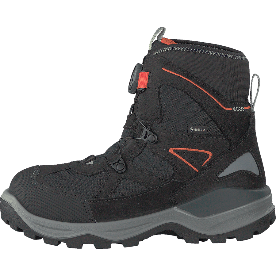 Snow Mountain Black