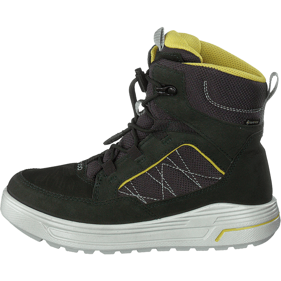 Urban Snowboarder Deep Forest