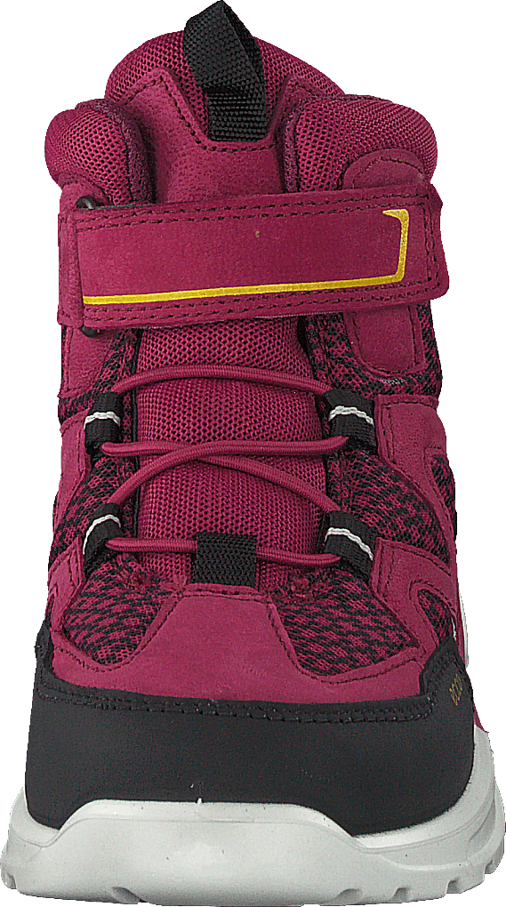 Ecco online urban hiker
