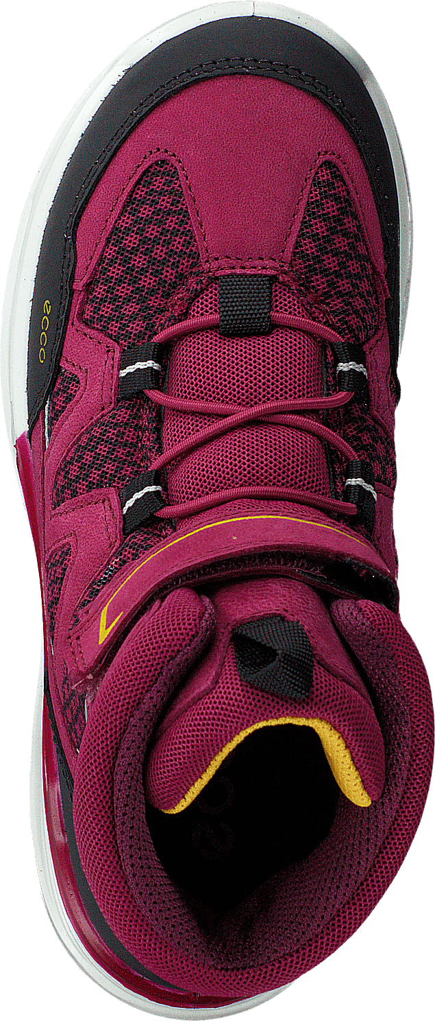 Urban Hiker Black red Plum Shoes for every occasion Footway