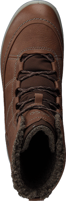 Ecco - Trace Lite Cocoa Brown