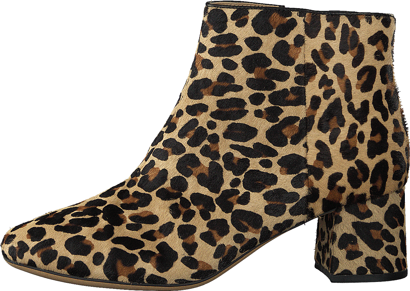 Sheer Flora Leopard Print