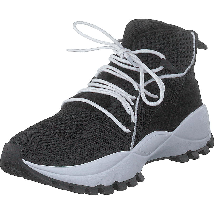 Tracee Black - Bild 3