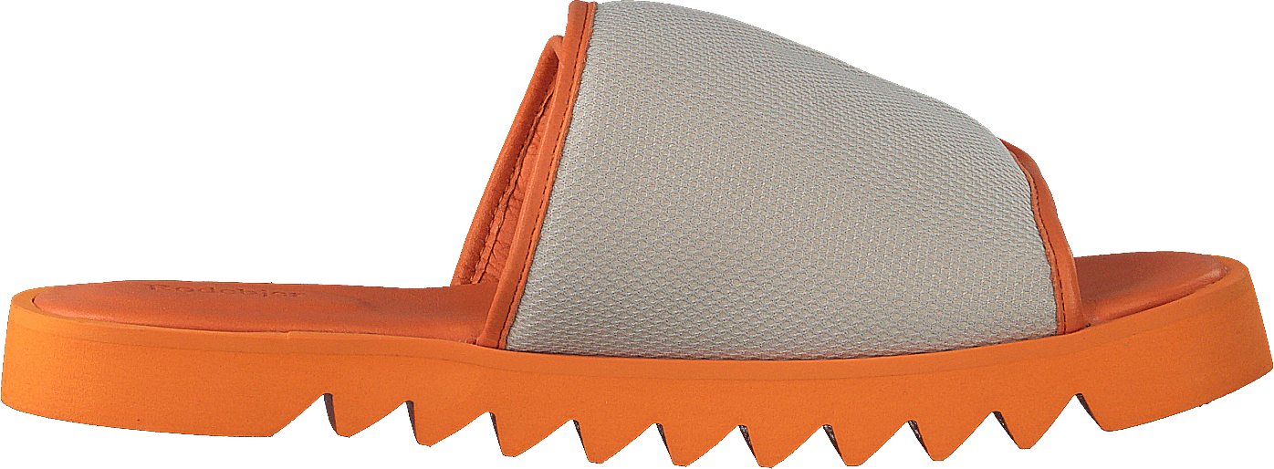 Micki Camel - Bild 2