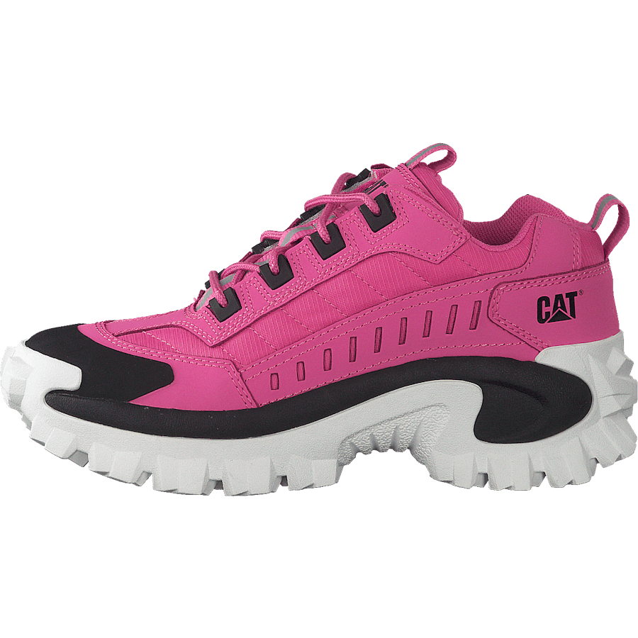 Intruder Azelea Pink