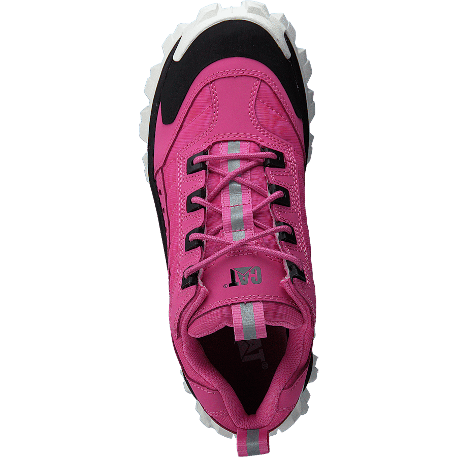 Intruder Azelea Pink - Bild 6