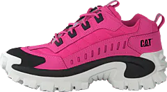 CAT - Intruder Azelea Pink