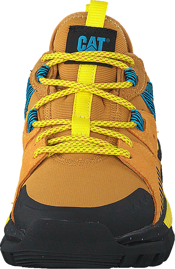 Raider Sport Spruce Yellow/cadmium Yellow