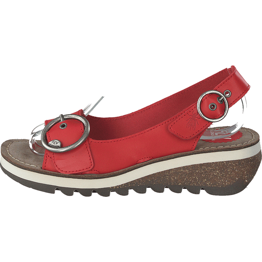 Tram 2 Bridle-scarlet