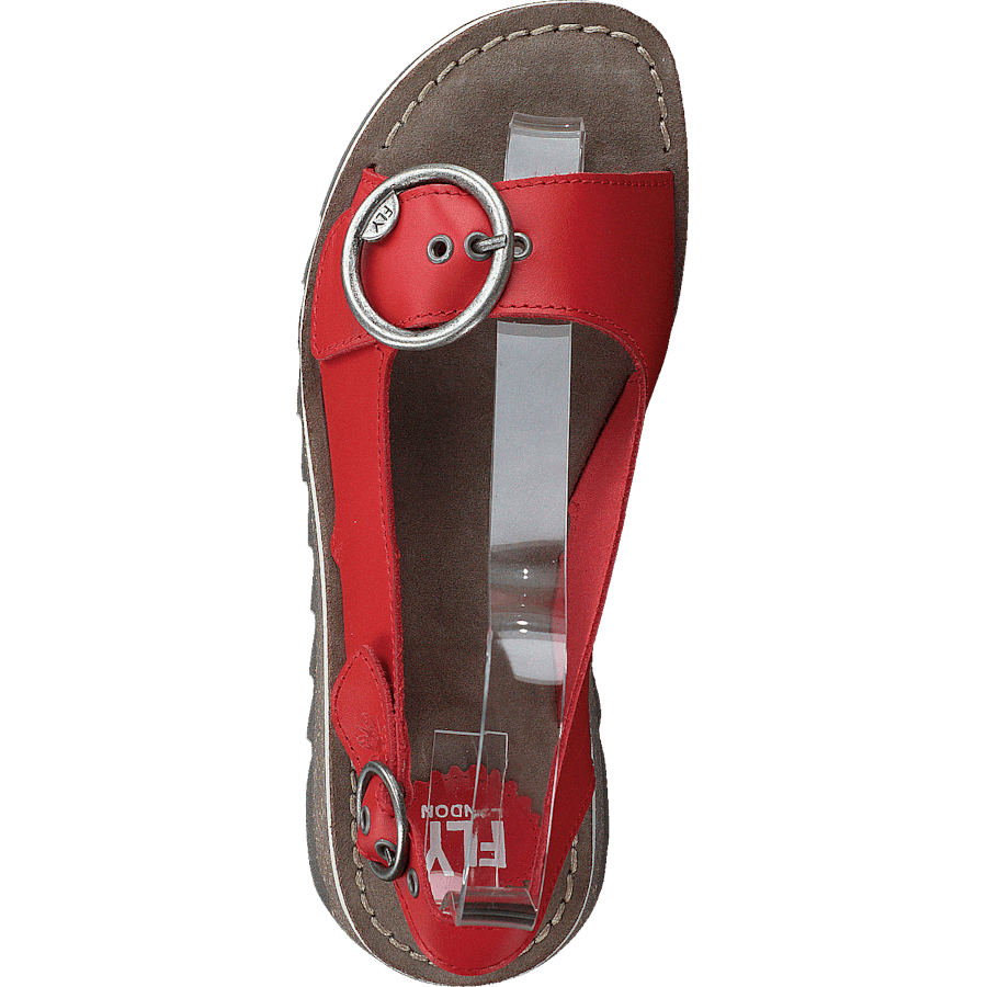 Tram 2 Bridle-scarlet - Bild 6