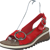 Tram 2 Bridle-scarlet - Bild 9