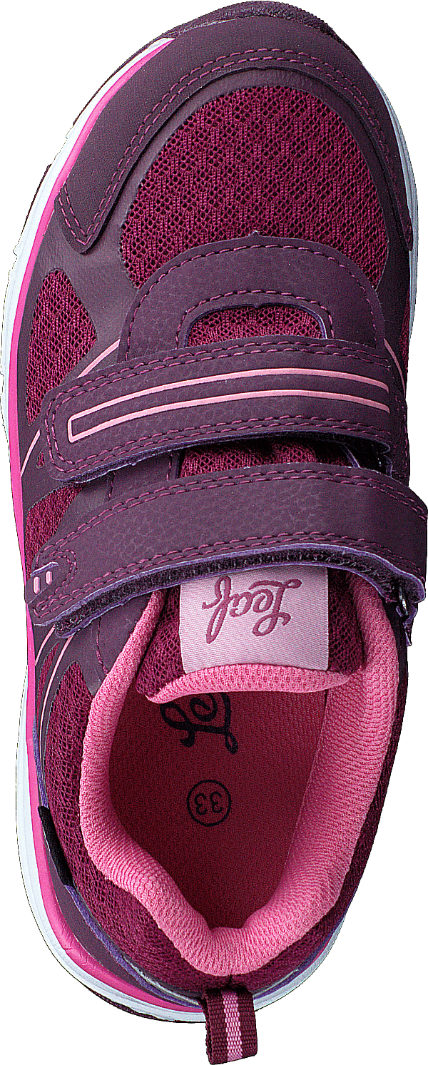 Hamar Lilac - Bild 6