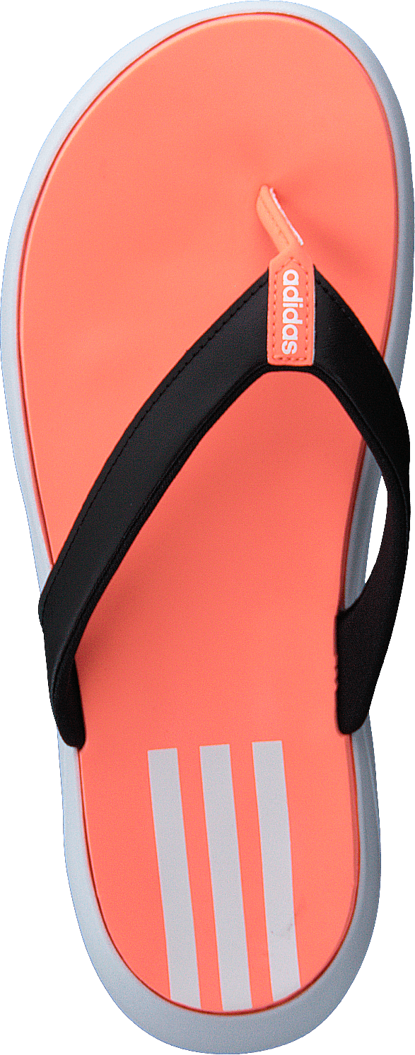 Comfort Flip Flop Core Black/ftwr White/signal C