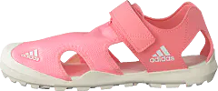 adidas Sport Performance - Captain Toey K Glory Pink/chalk White/glory P