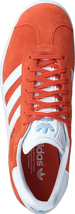 gazelle glow orange