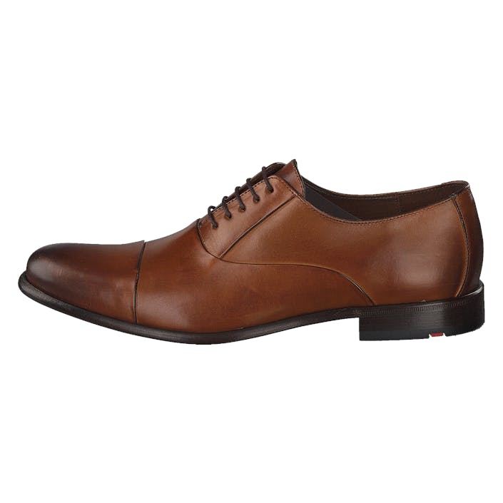 Salto Saffron, Male, Sapatos, Sapatos baixos, sapatos sociais, Castanho, EU 43