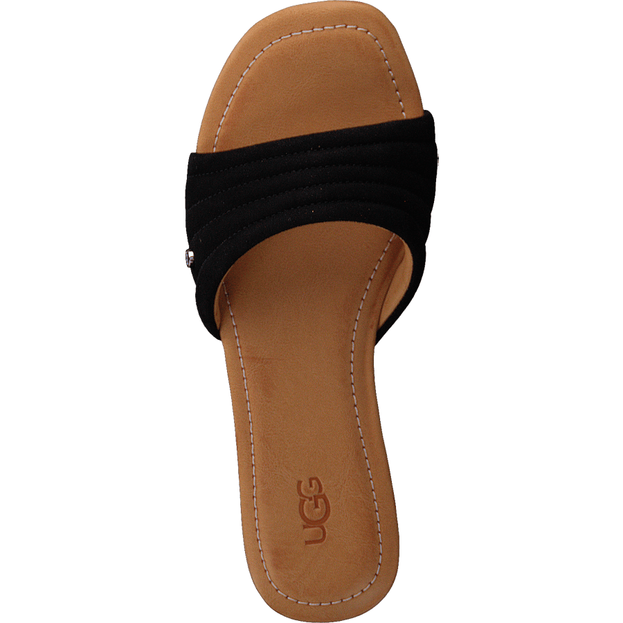 Jurupa Black - Bild 6