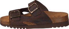 Scholl - Moldava Wg Ad Dark Brown