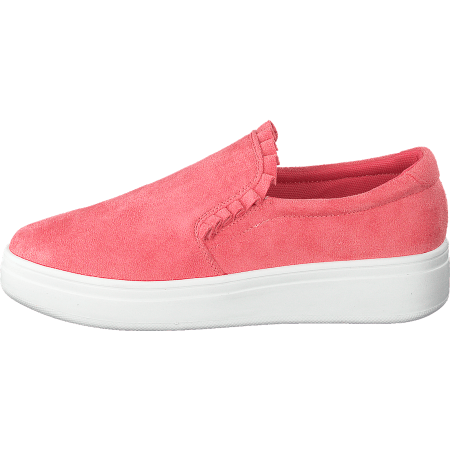73-42717 Coral