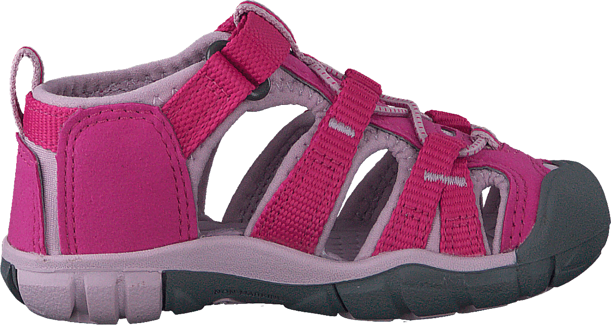 Seacamp Ii Cnx Tots Very Berry/dawn Pink - Bild 2