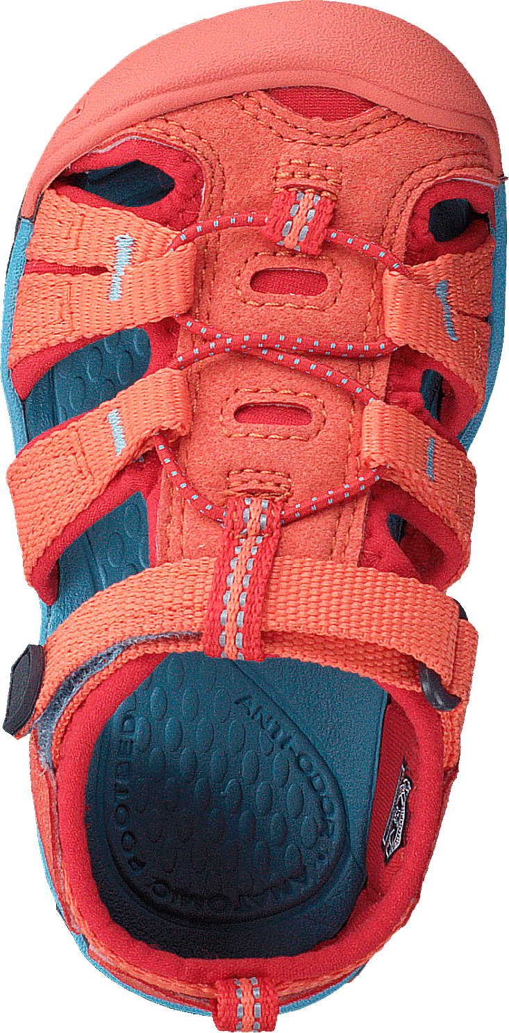 Seacamp Ii Cnx Tots Coral/poppy Red - Bild 6
