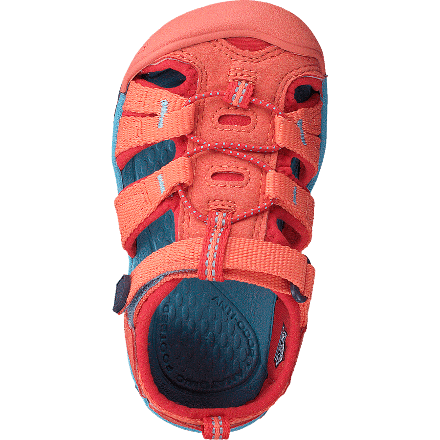 Seacamp Ii Cnx Tots Coral/poppy Red - Bild 6
