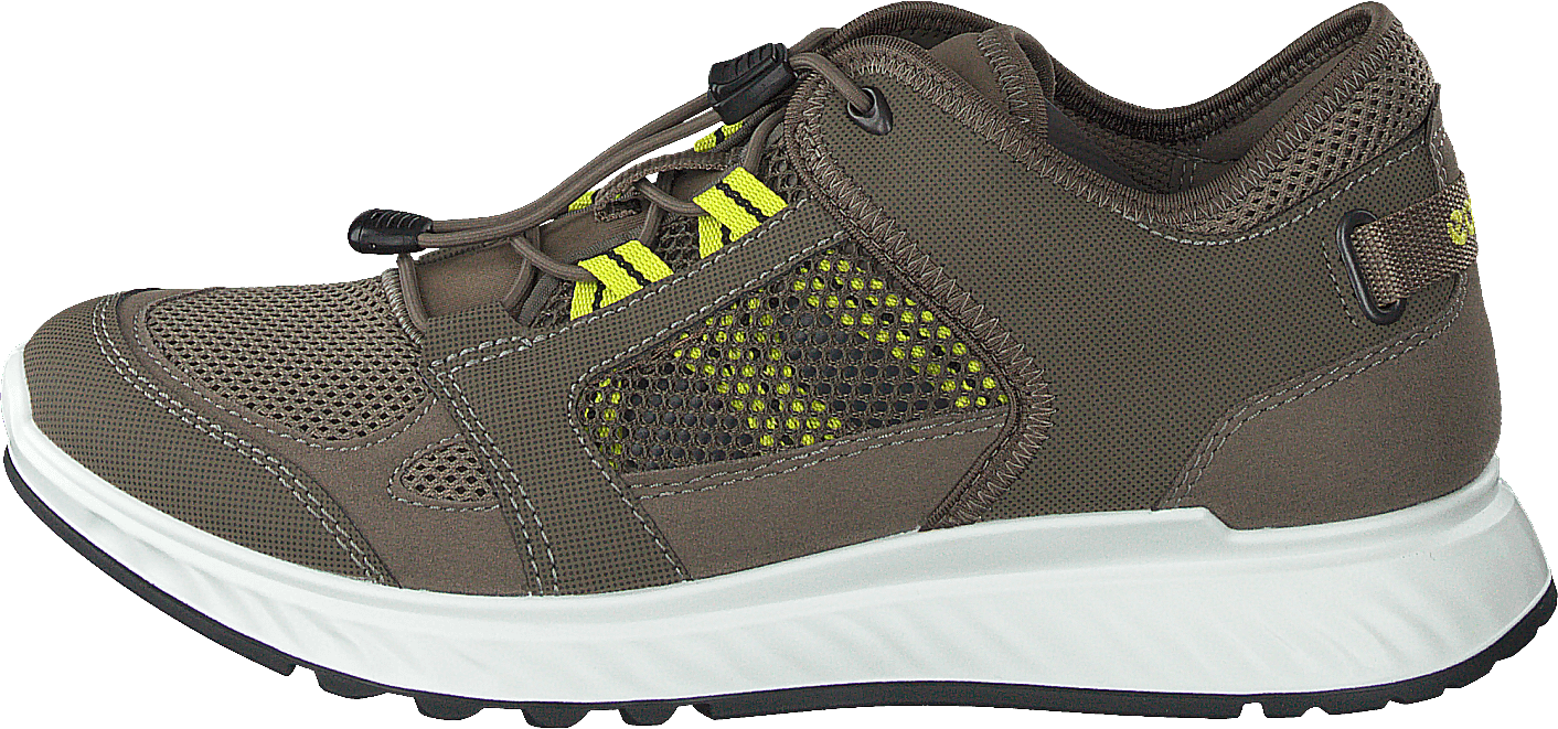 Exostride Warm Grey, Male, Shoes, Walking shoes, sport shoes, Brown/Grey, EU 45