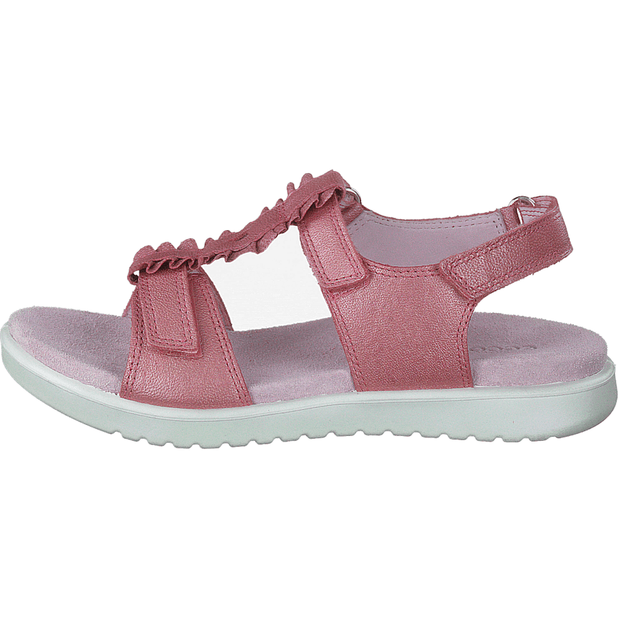 Flora Bubblegum