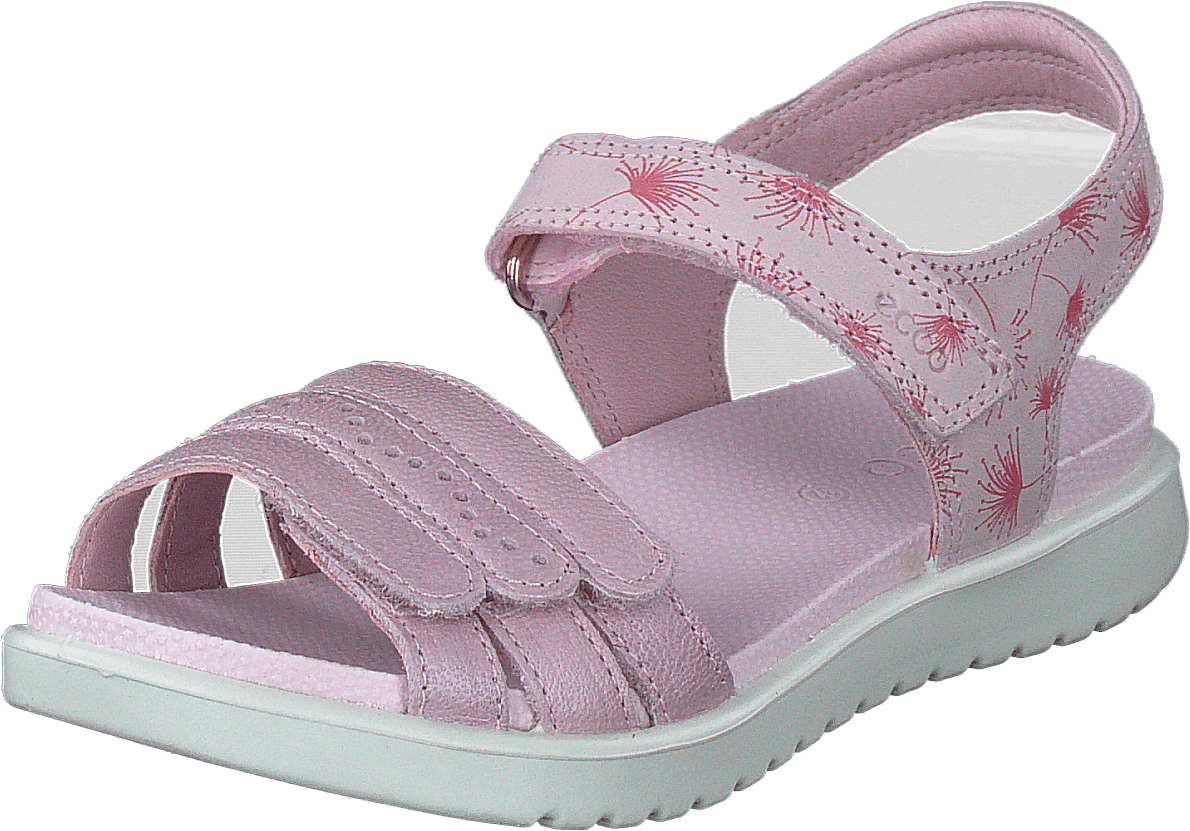 Flora Blossom Rose - Bild 3