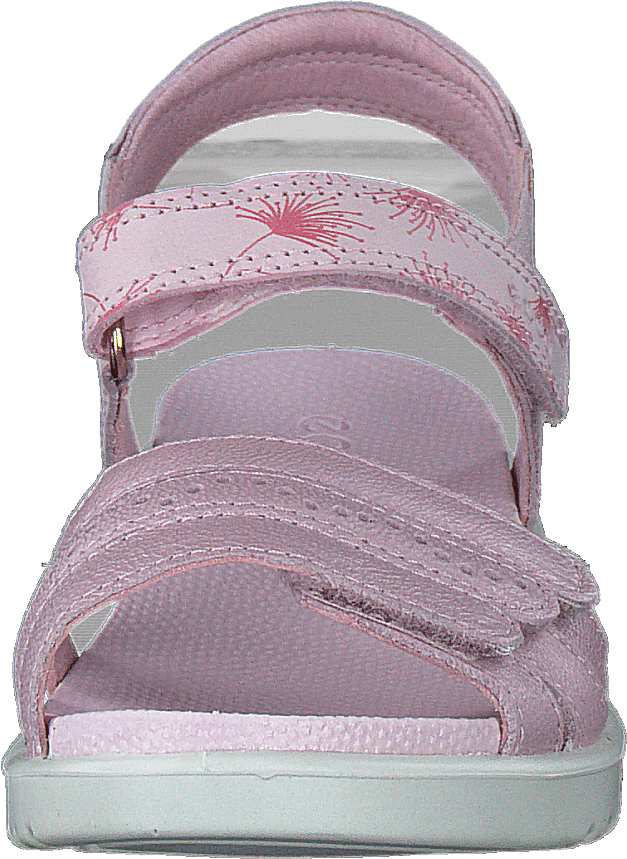 Flora Blossom Rose - Bild 4